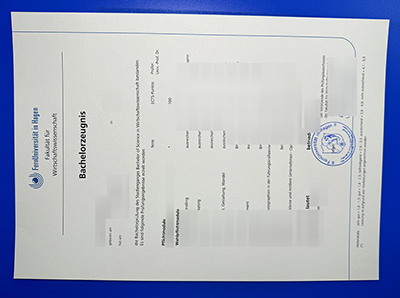 Fake FU Hagen Transcript