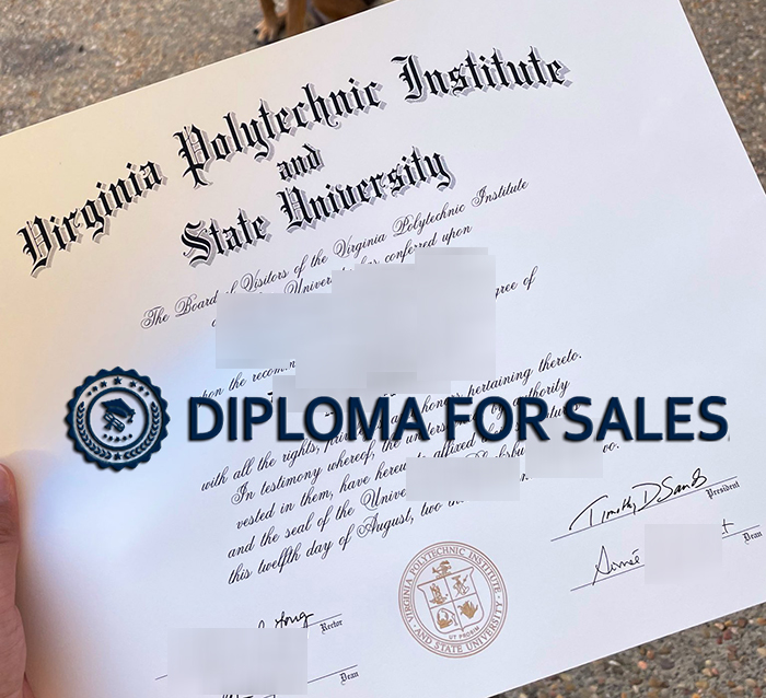 Virginia Tech Diploma, VPL Diploma