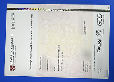 Fake CAE Certificate