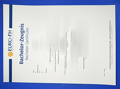 Fake Euro-FH Zeugnis