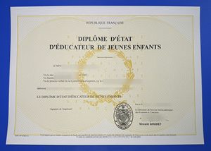 Fake DEEJE Diploma