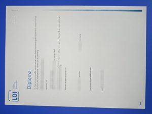 Fake LOI Diploma