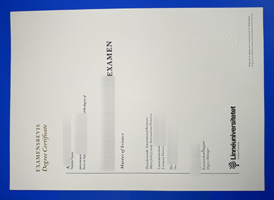 fake LNU Degree Certificate