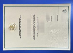 St George's, University of London Degree03