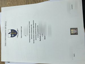 Fake University of Hull Degree