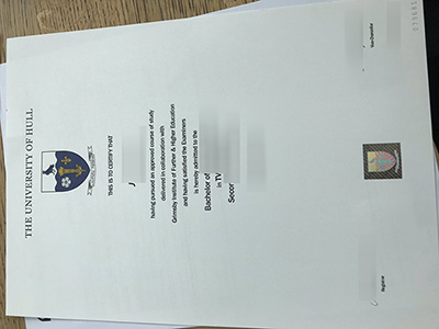 Fake University of Hull Degree