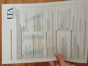 Fake UEA Transcript