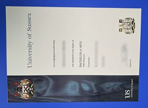 University of Sussex Degree