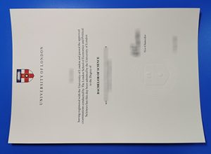 London School of Economics Degree