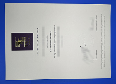 Thames Valley University Degree