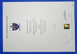 University of Hull Degree