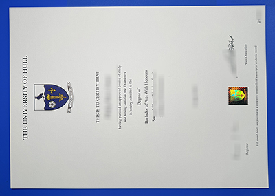 University of Hull Degree