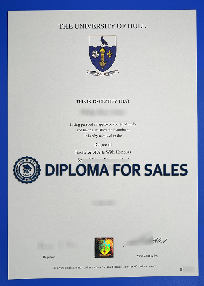 University of Hull Degree