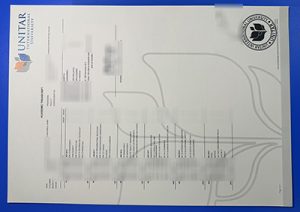 UNITAR Transcript