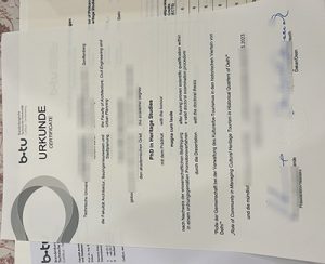 Brandenburgische Technische Universität Cottbus-Senftenberg Diploma