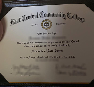 ECCC Diploma