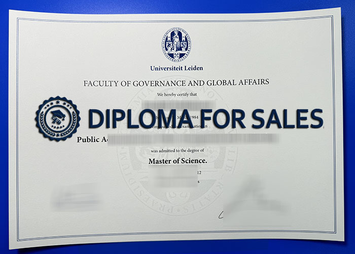 Leiden University Diploma