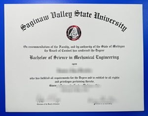 SVSU Diploma