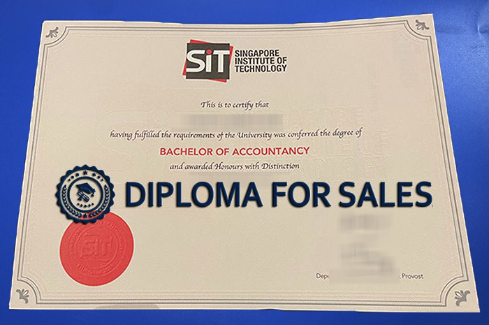 SIT Diploma SIT Diploma