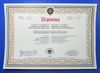 Ankara University Diploma