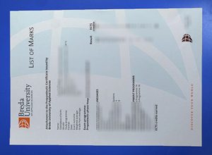 Breda University of Applied Sciences Transcript