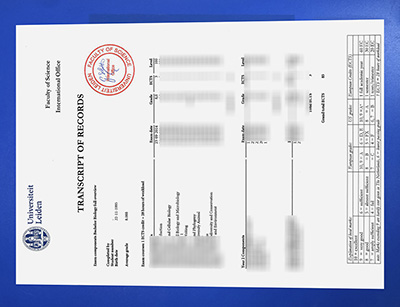 Universiteit Leiden Transcript