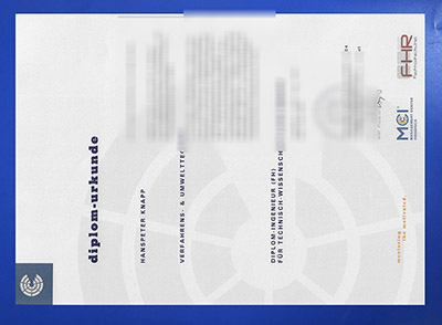 MCI Management Center Innsbruck Diploma