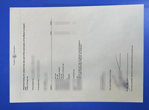 Tilburg University Transcript