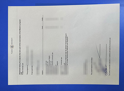 Tilburg University Transcript