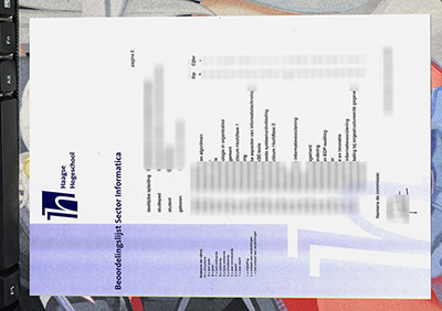 De Haagse Hogeschool Transcript