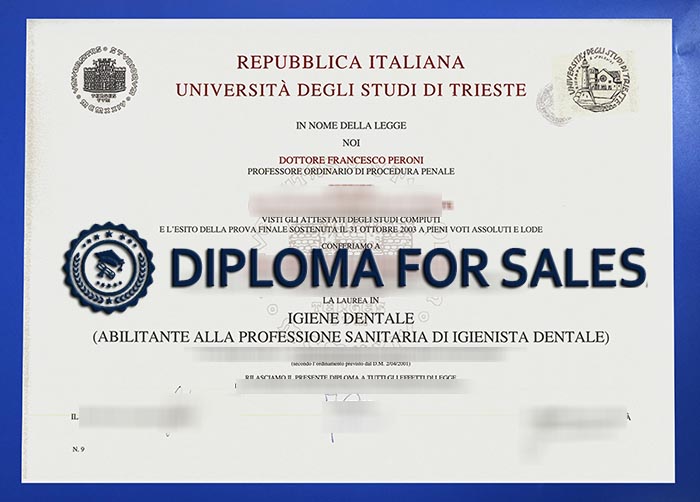 University of Trieste Diploma University of Trieste Diploma