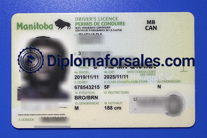 Manitoba Drivers Licence, Canada Drivers Licence Manitoba Drivers Licence, Canada Drivers Licence