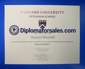 HES Diploma