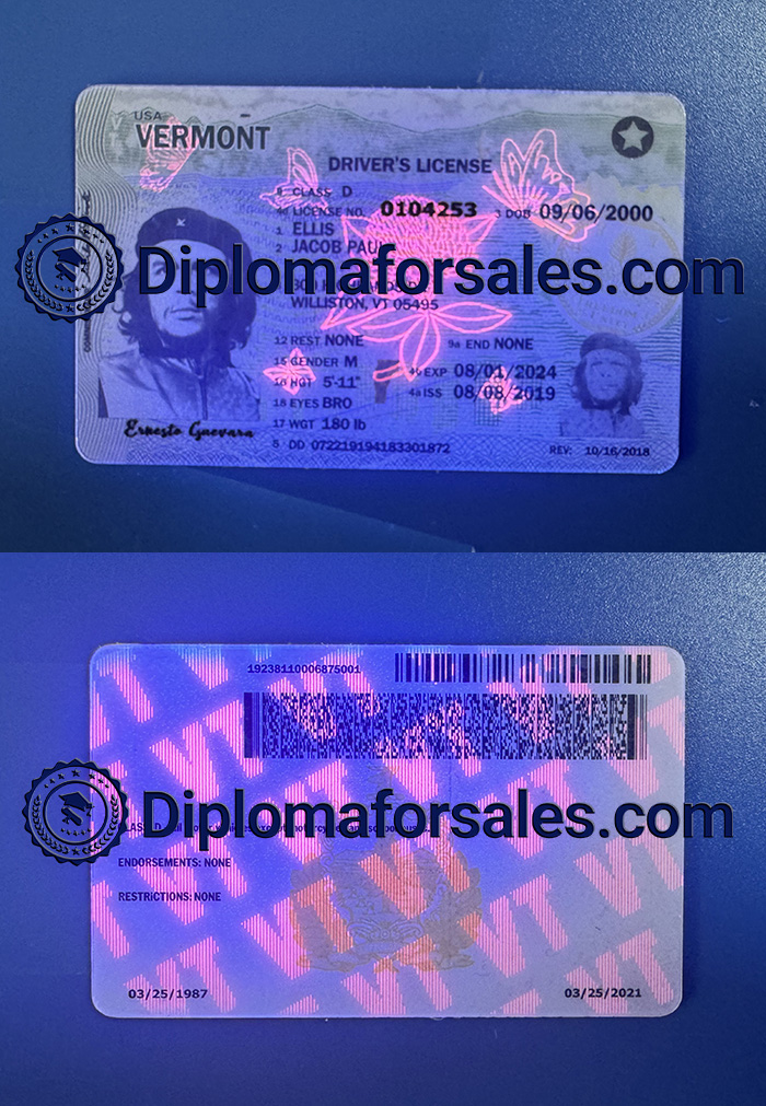 Vermont driver's license Hologram