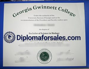 Georgia Gwinnett College Diploma