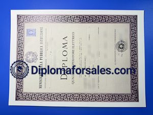 Istituto Professionale Diploma
