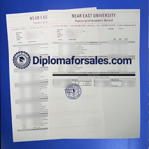 Near East University Transcript