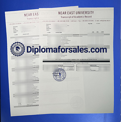 Near East University Transcript