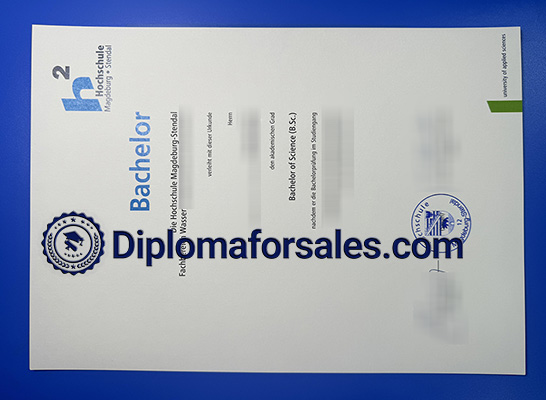 Hochschule Magdeburg-Stendal Urkunde