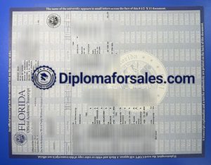 University of Florida Transcript