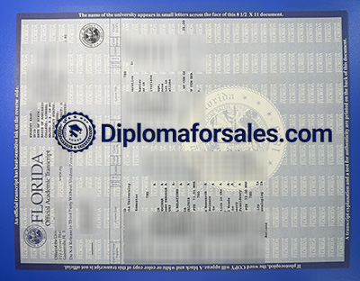 University of Florida Transcript