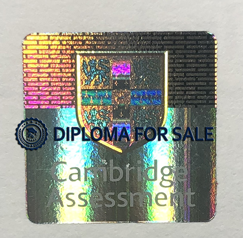 Cambridge CAE C1 Certificat