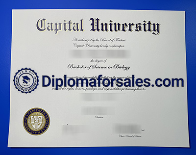Capital Diploma
