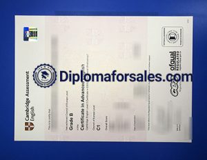 Cambridge CAE C1 Certificat