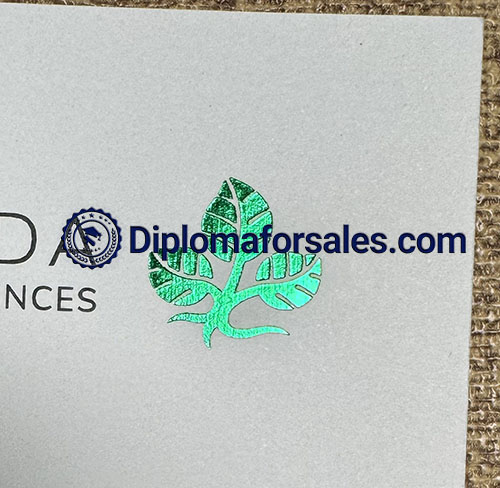 Hochschule Fulda Urkunde Hot stamping