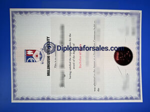 Mulungushi University Diploma