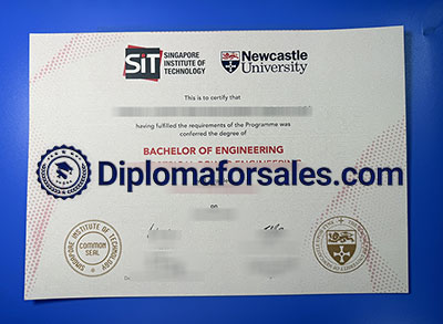 SIT Diploma