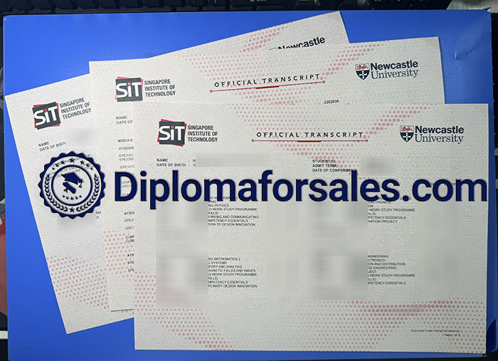 Singapore Institute of Technology Transcript, SIT Transcript