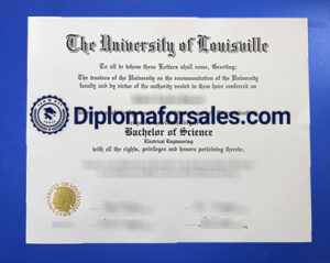 University of Louisville Diploma