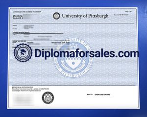 University of Pittsburgh Transcript